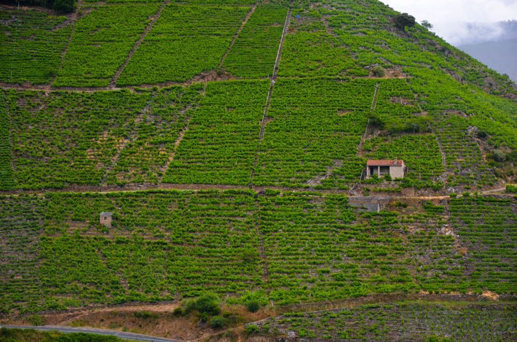 Bodegas ribeira sacra